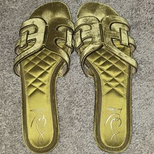 Sam Edelman Olive Velvet Slide Sandals